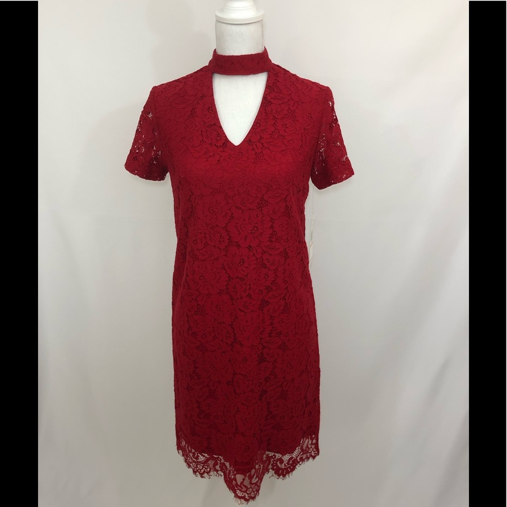 Stunning, Sharagano Red Lace Dress